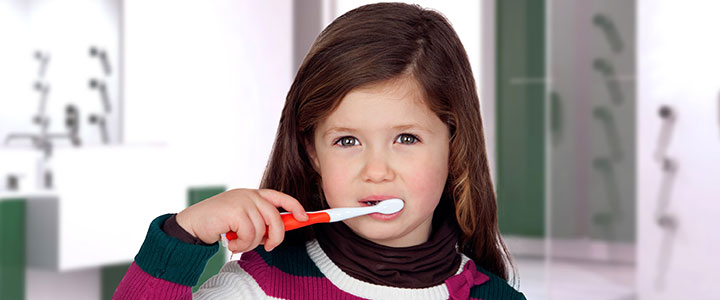 Gainesville Dental Arts Gainesville Haymarket Oral Hygiene for Kids