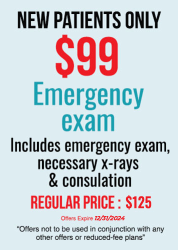 new patients only emergency exam $59